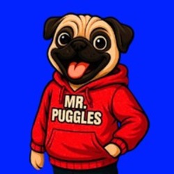 Mr Puggles